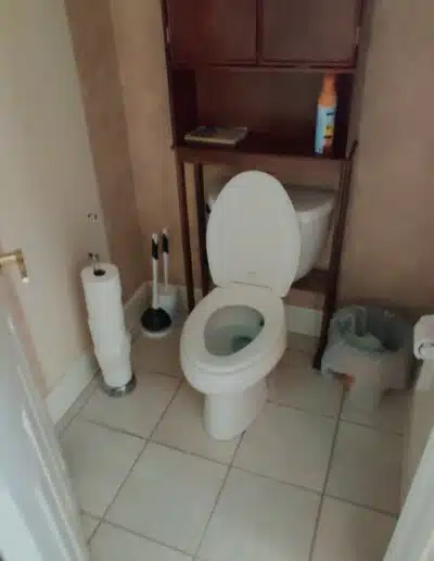 Toilet Before