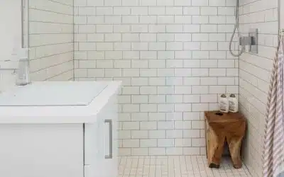 Walk-In Showers: Everything You Need to Know