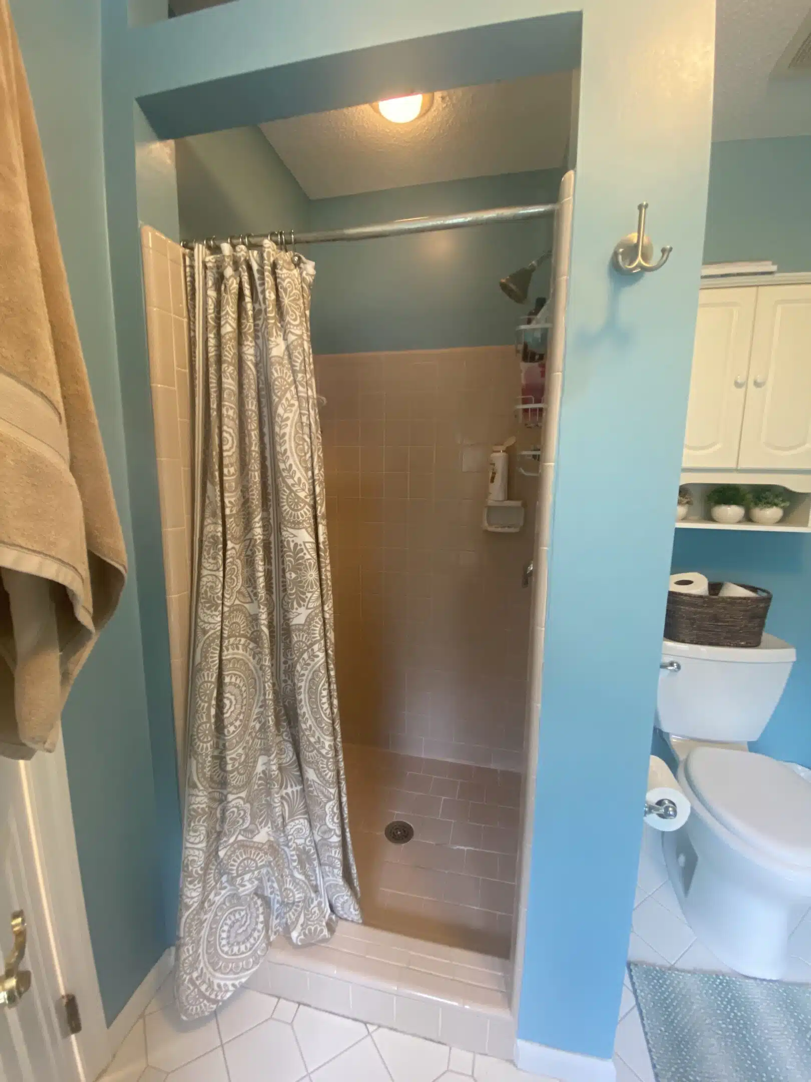 master-bath-shower-before-picture