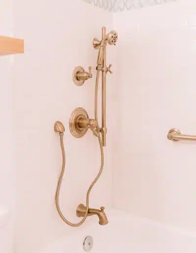 Guest bathroom shower fixture
